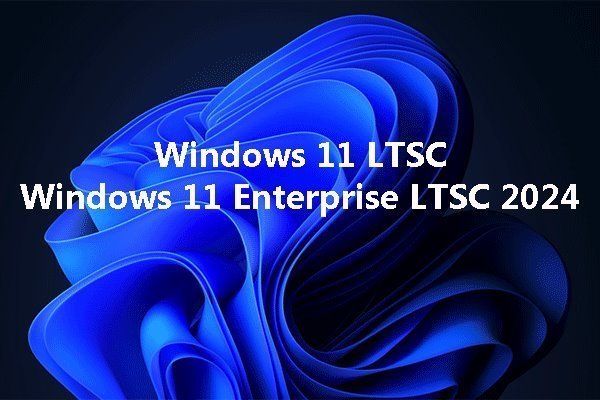 Windows® 11 IoT Enterprise 2024 LTSC Entry (ESD) - EPKEA